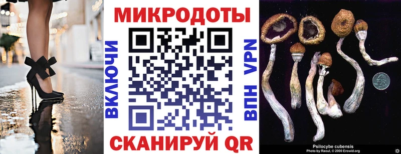 Псилоцибиновые грибы прущие грибы  гидра зеркало  Пикалёво 
