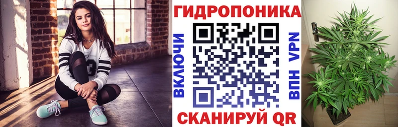 кракен маркетплейс  купить закладку  Пикалёво  Конопля Ganja 